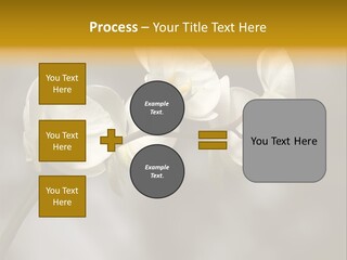 White Exotic Ornate PowerPoint Template