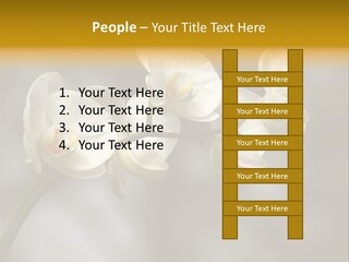 White Exotic Ornate PowerPoint Template