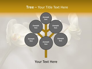 White Exotic Ornate PowerPoint Template