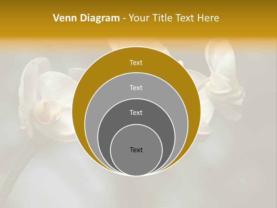 White Exotic Ornate PowerPoint Template