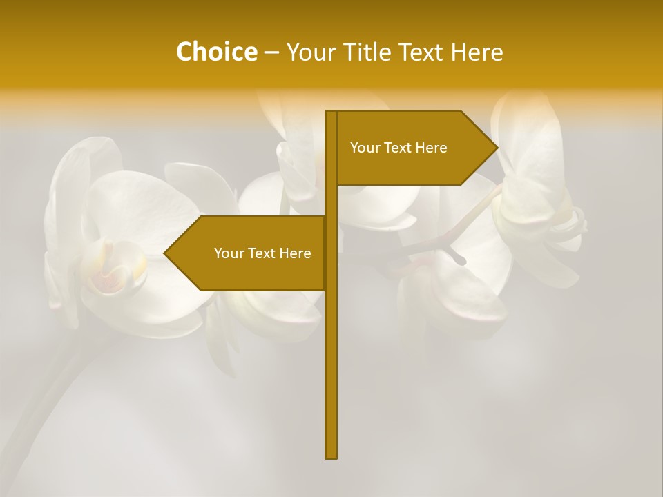 White Exotic Ornate PowerPoint Template