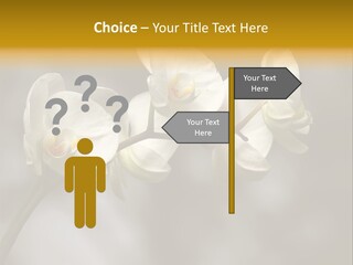 White Exotic Ornate PowerPoint Template