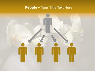 White Exotic Ornate PowerPoint Template