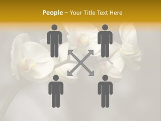 White Exotic Ornate PowerPoint Template