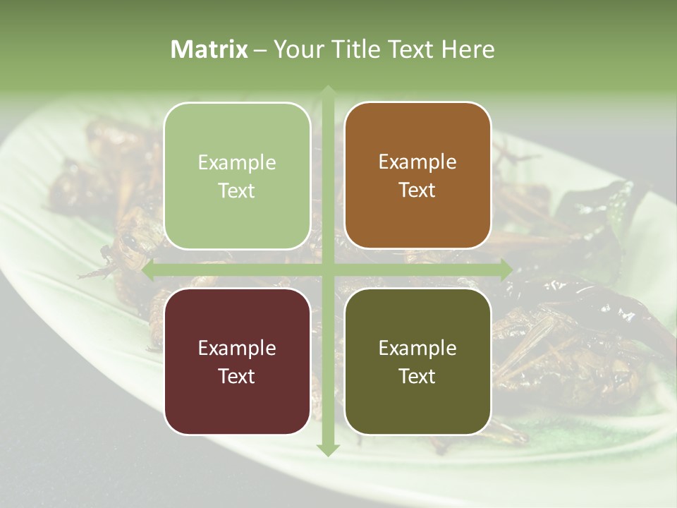 Asia Delicious Product PowerPoint Template