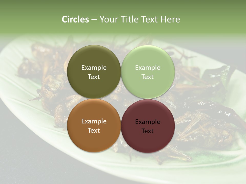Asia Delicious Product PowerPoint Template
