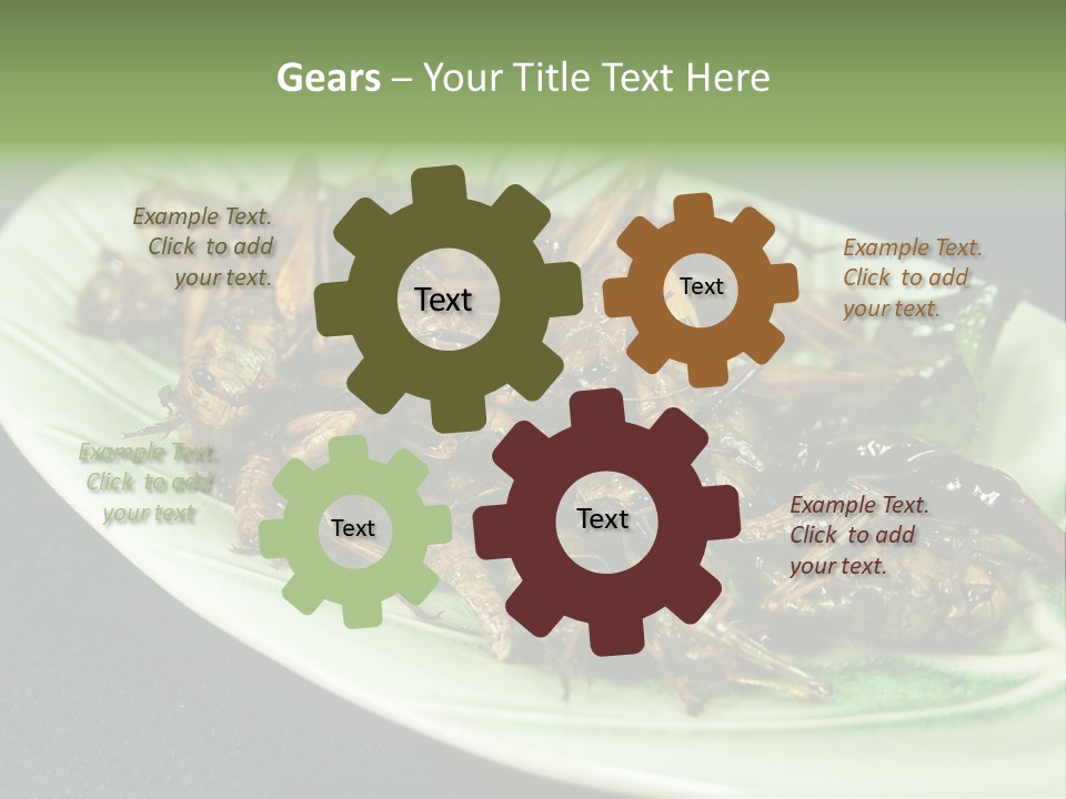 Asia Delicious Product PowerPoint Template