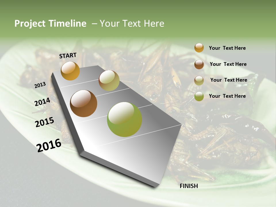 Asia Delicious Product PowerPoint Template