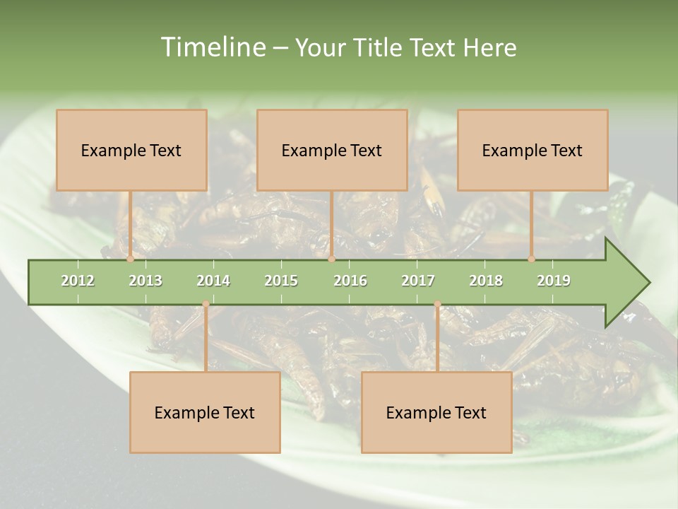 Asia Delicious Product PowerPoint Template