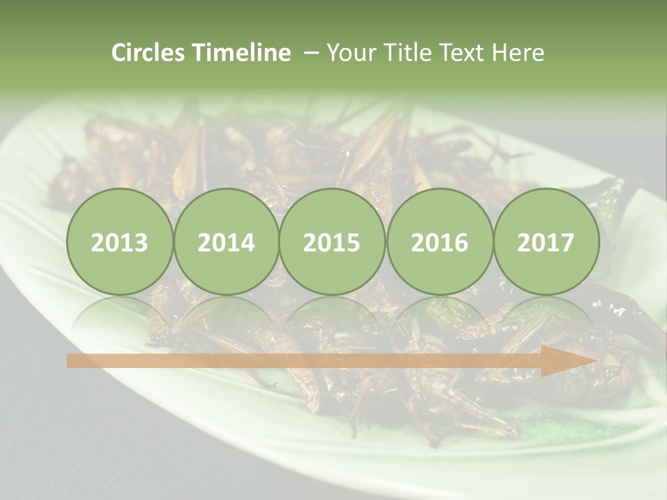 Asia Delicious Product PowerPoint Template