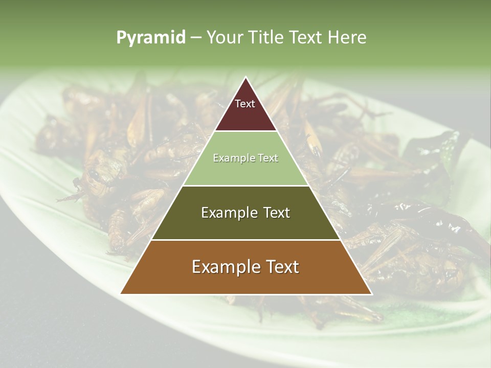 Asia Delicious Product PowerPoint Template