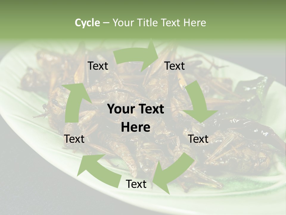 Asia Delicious Product PowerPoint Template