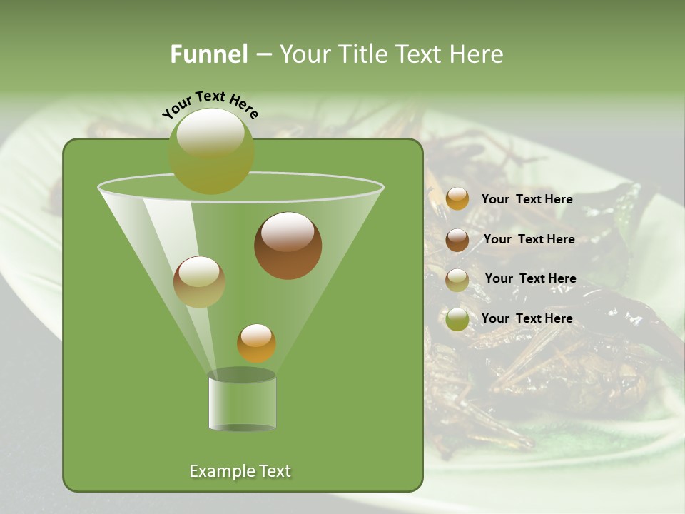 Asia Delicious Product PowerPoint Template