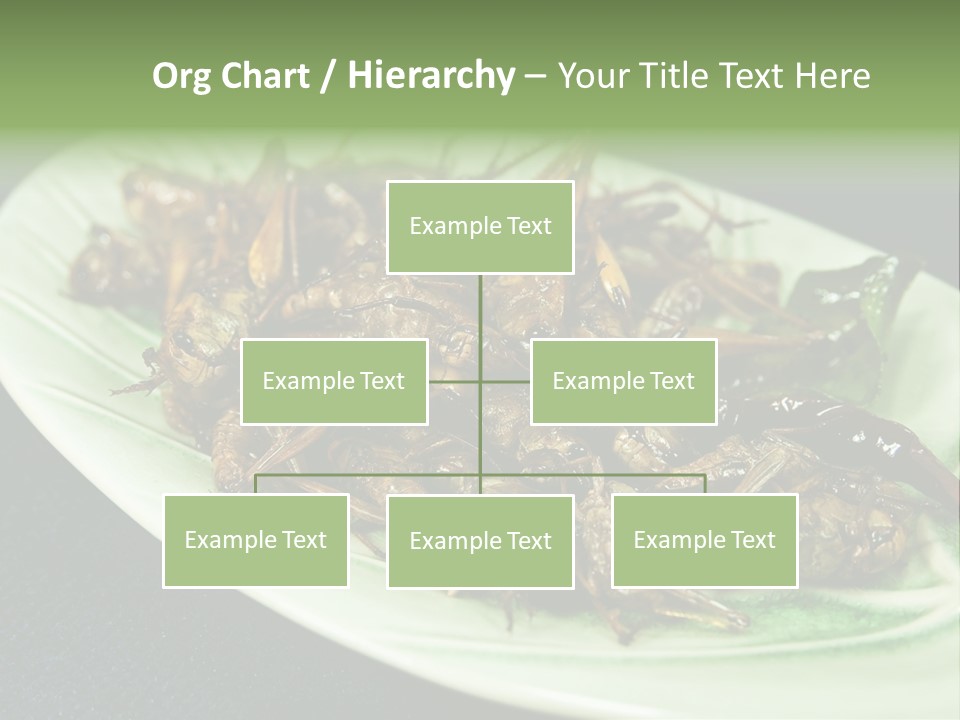 Asia Delicious Product PowerPoint Template