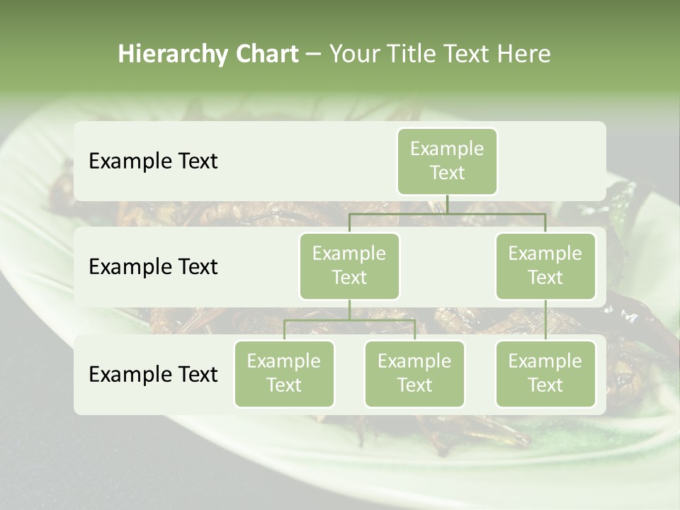 Asia Delicious Product PowerPoint Template