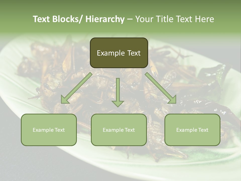 Asia Delicious Product PowerPoint Template
