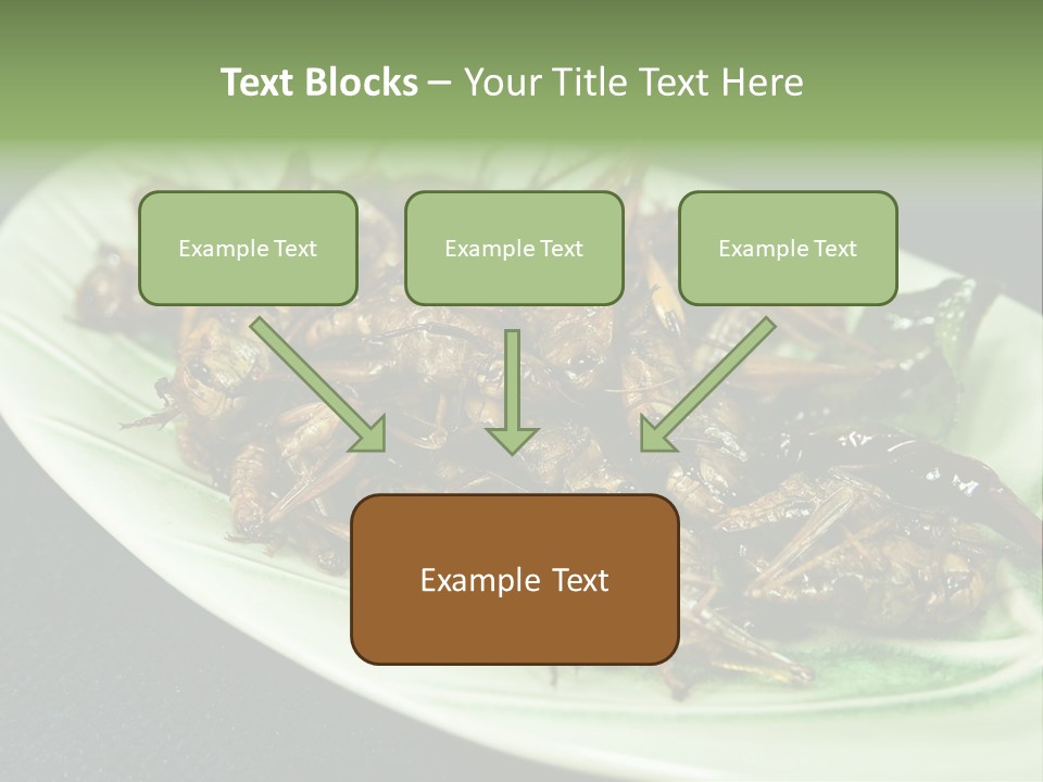 Asia Delicious Product PowerPoint Template