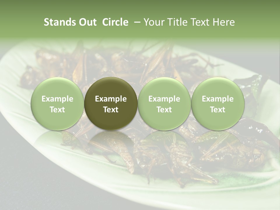 Asia Delicious Product PowerPoint Template