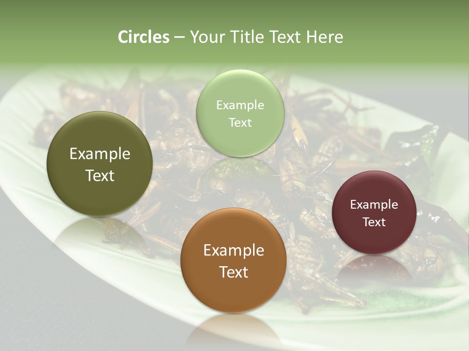 Asia Delicious Product PowerPoint Template