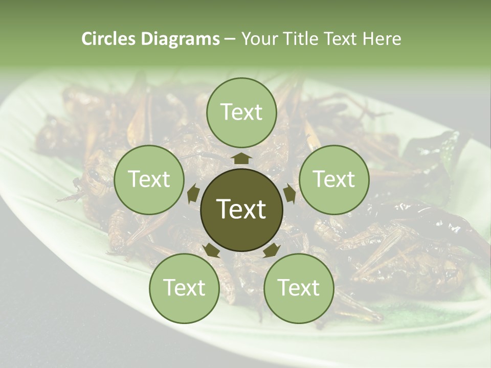 Asia Delicious Product PowerPoint Template