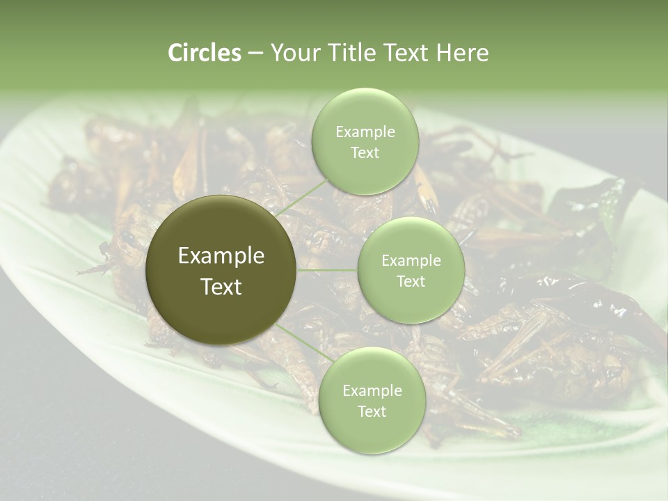 Asia Delicious Product PowerPoint Template