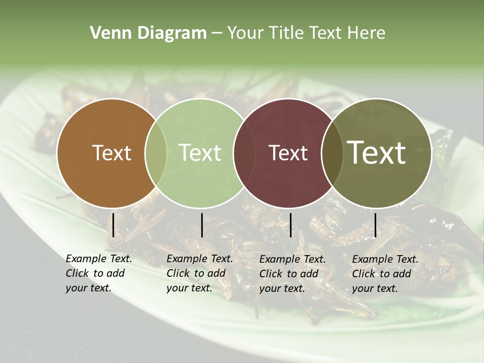 Asia Delicious Product PowerPoint Template