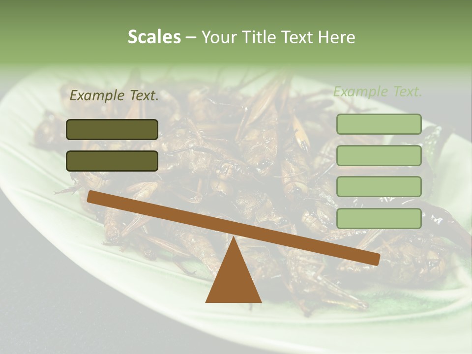 Asia Delicious Product PowerPoint Template