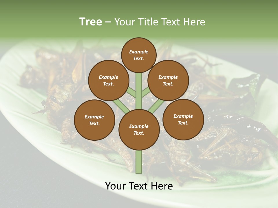 Asia Delicious Product PowerPoint Template