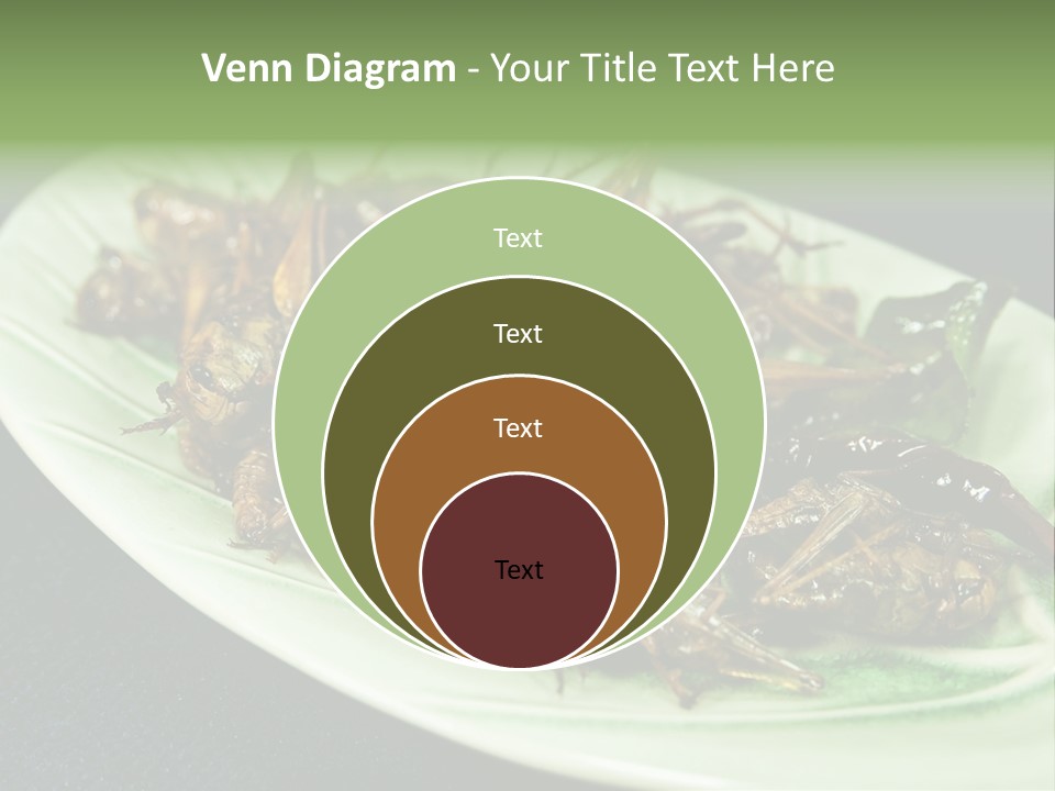 Asia Delicious Product PowerPoint Template