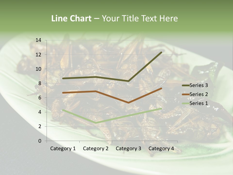 Asia Delicious Product PowerPoint Template