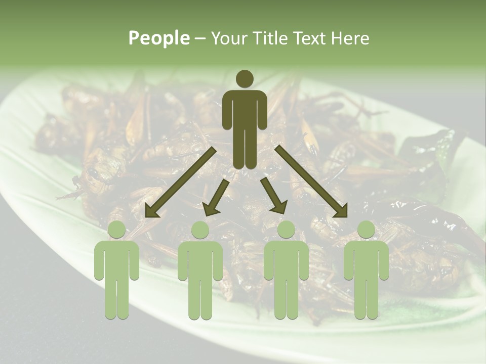 Asia Delicious Product PowerPoint Template