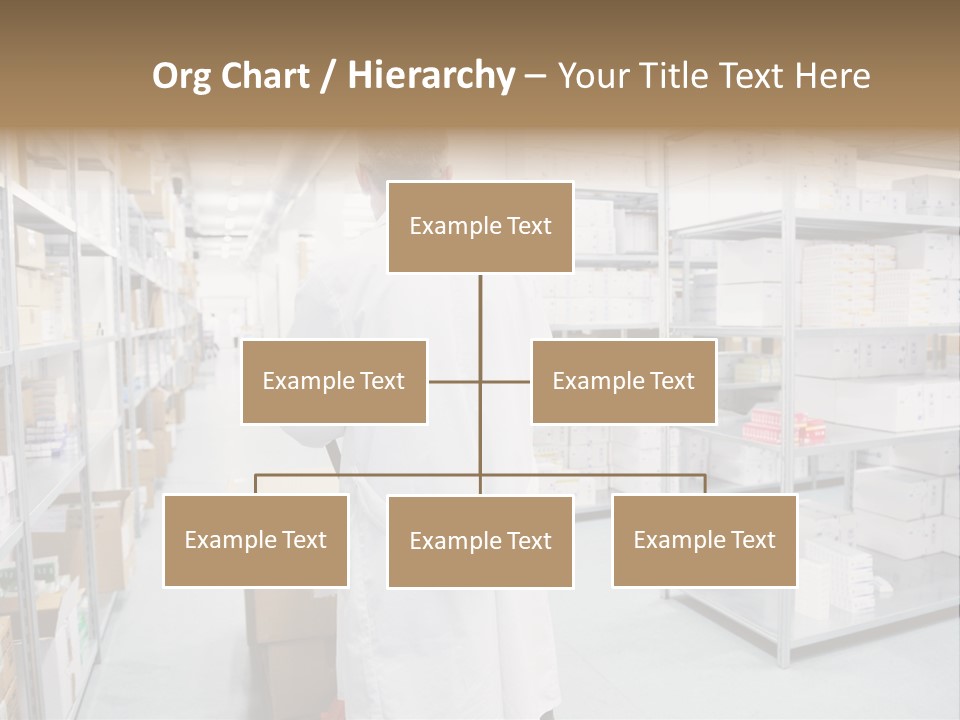 Young Box Specialist PowerPoint Template