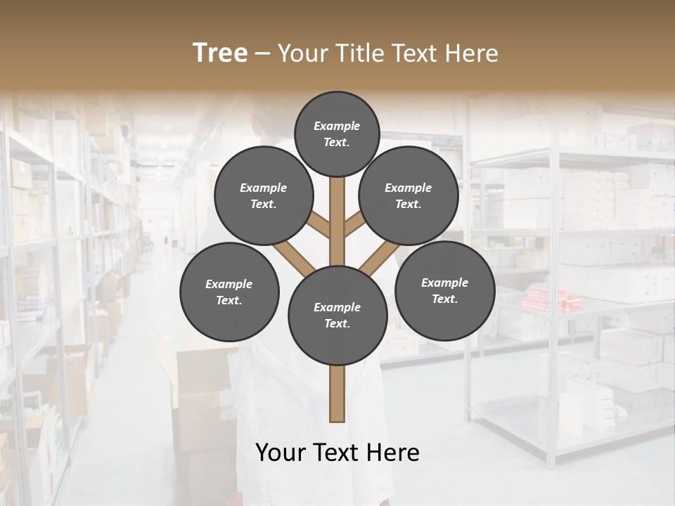 Young Box Specialist PowerPoint Template