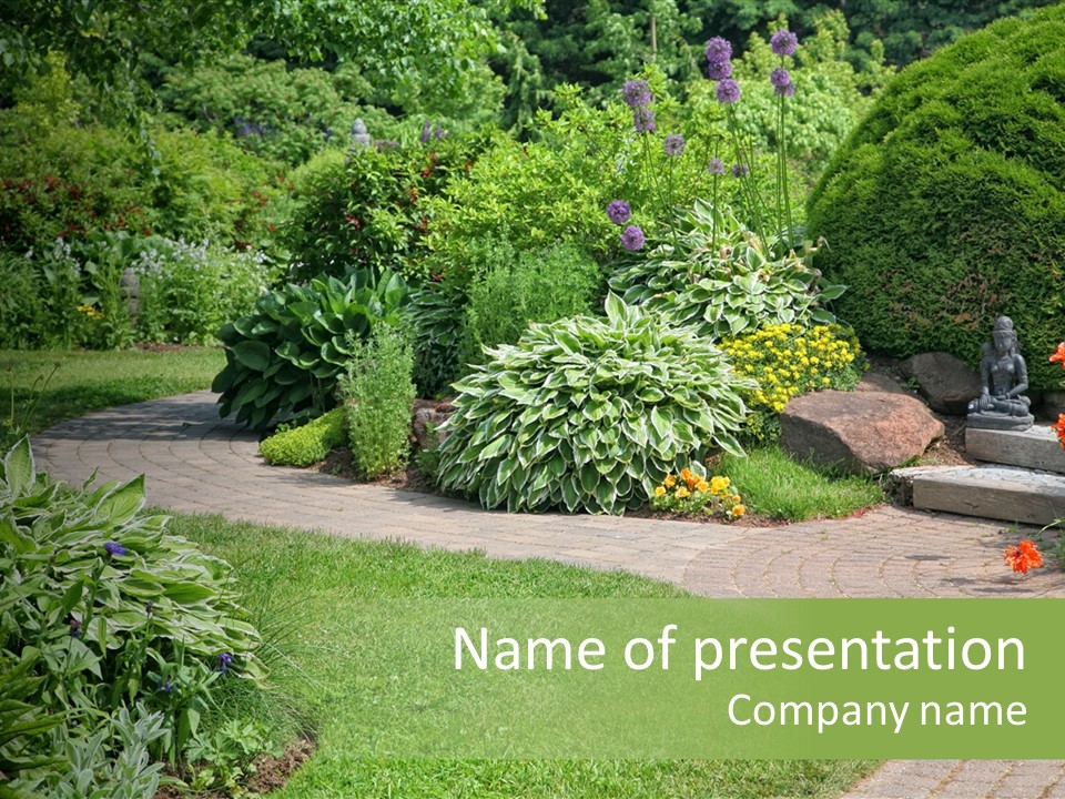 Perennial Hosta Nature PowerPoint Template