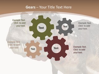 Age Attack Devour PowerPoint Template