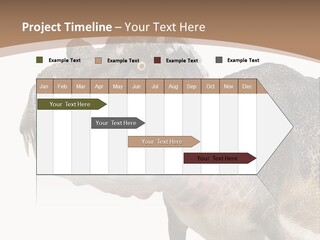 Age Attack Devour PowerPoint Template