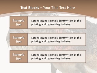 Age Attack Devour PowerPoint Template