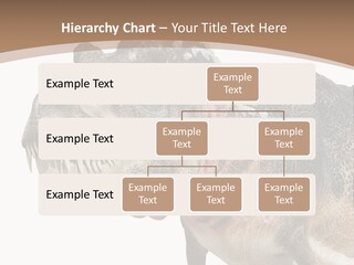 Age Attack Devour PowerPoint Template
