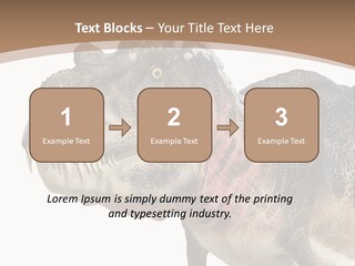 Age Attack Devour PowerPoint Template