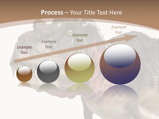 Age Attack Devour PowerPoint Template