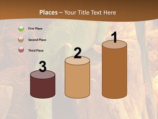 Portrait Reptile Looking PowerPoint Template