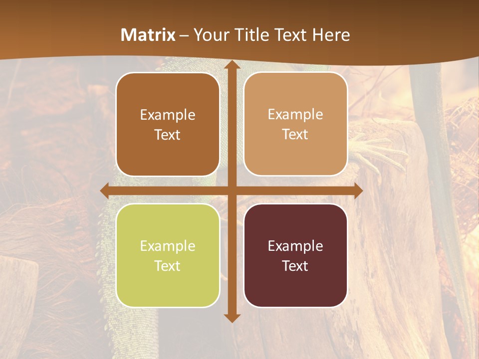 Portrait Reptile Looking PowerPoint Template