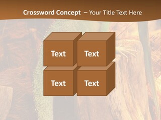 Portrait Reptile Looking PowerPoint Template
