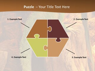 Portrait Reptile Looking PowerPoint Template