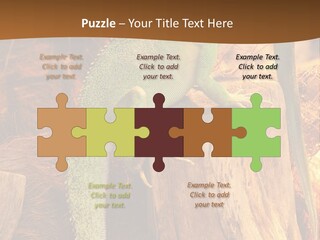 Portrait Reptile Looking PowerPoint Template