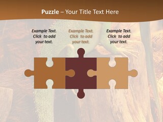 Portrait Reptile Looking PowerPoint Template