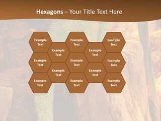 Portrait Reptile Looking PowerPoint Template