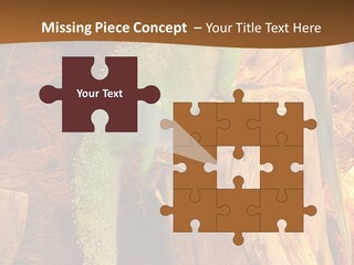 Portrait Reptile Looking PowerPoint Template