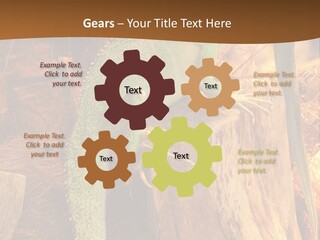 Portrait Reptile Looking PowerPoint Template