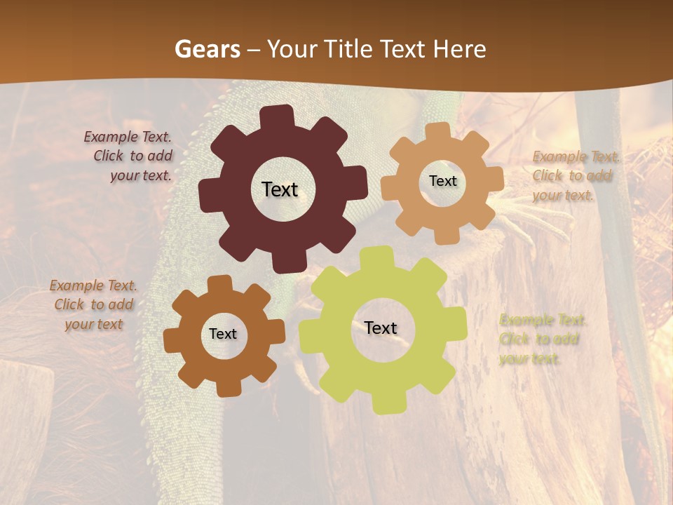 Portrait Reptile Looking PowerPoint Template